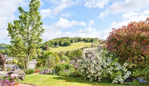 Deluxe Double Room with Shower