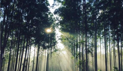 Three-Bedroom Chalet