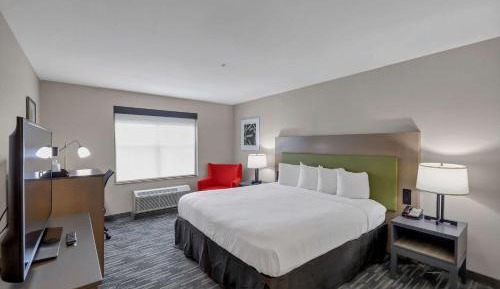 King Room - Non-Smoking