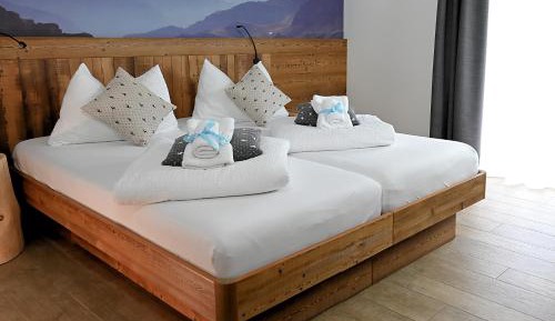 Superior Double or Twin Room with Mountain View