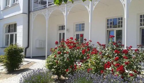 One-Bedroom Holiday Home