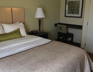 One-Bedroom Queen Suite