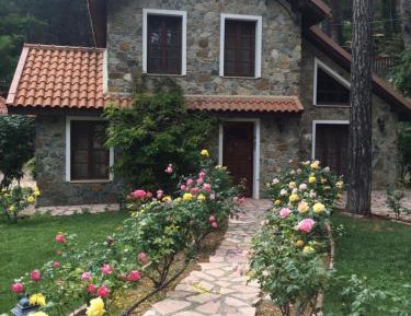 Deluxe Villa