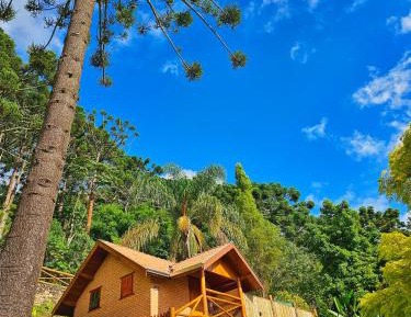 Family Room with Mountain View