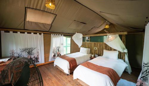 Tent