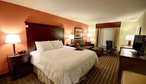 King Studio Suite - Non-Smoking