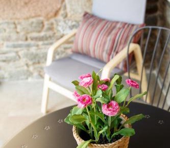 Twin Room with Terrace