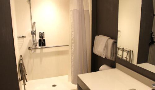 King Room with Sofa Bed and Roll-in Shower - Mobility and Hearing Accessible