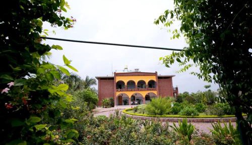 King Room with Garden View