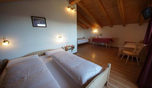 Double or Twin Room with Mountain View