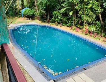 Triple Room with Pool View