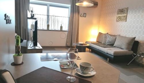 Superior Apartment
