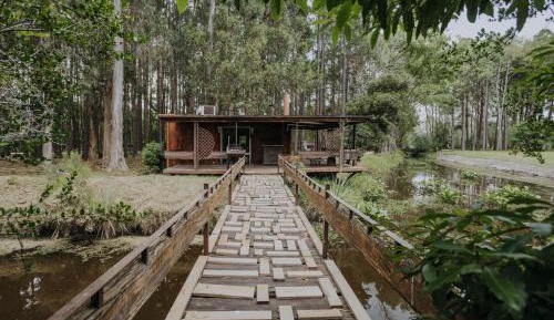 Bungalow - Water Front 