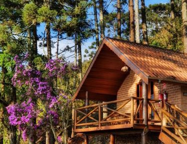 Suite with Mountain View