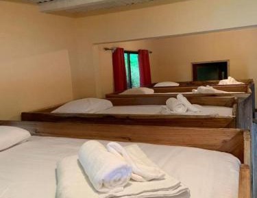 Bed in 8-Bed Mixed Dormitory Room