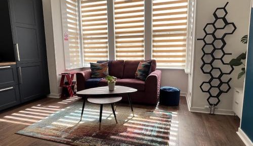 Deluxe One-Bedroom Apartment