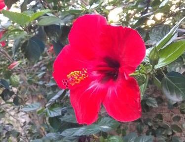 4-Bed Mixed Dormitory Room