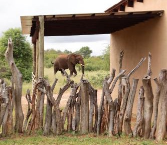 Two-Bedroom Apartment with Terrace