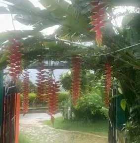 Apartment with Mountain View