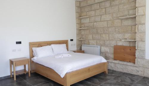 Superior Double or Twin Room with Mountain View