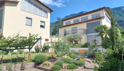 One-Bedroom Apartment (4 Adults)