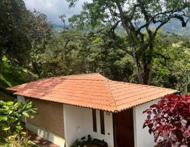 Superior Double or Twin Room with Mountain View