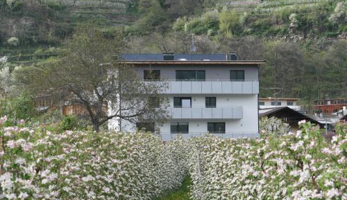 Three-Bedroom Superior Apartment