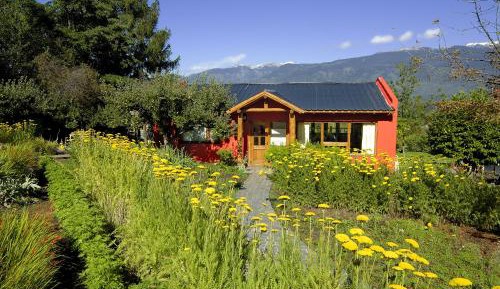 Two-Bedroom Bungalow