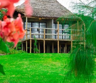 Deluxe Double or Twin Room with Mountain View