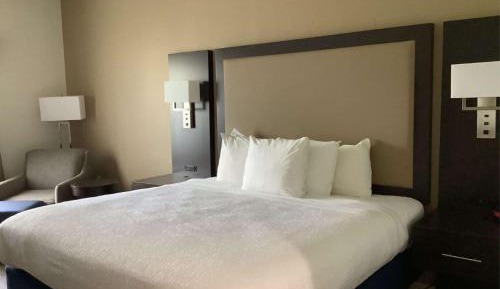 King Room with Roll - In Shower - Disability Access