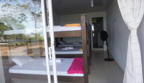 Bunk Bed in Mixed Dormitory Room
