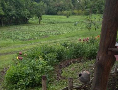 Family Room with Garden View