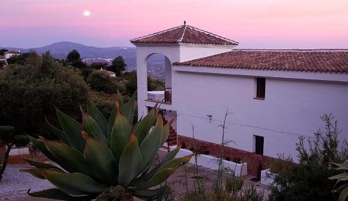 Double Room with Mountain View