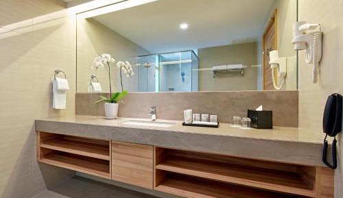 Deluxe Plus Double or Twin Room