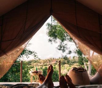 Tent with Jungle View