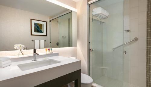 One-Bedroom King Suite with Sofa Bed