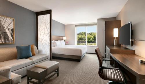 King Room with Sofa Bed