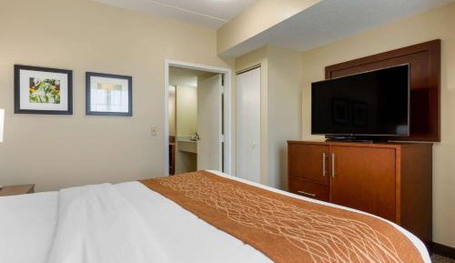 King Suite with Sofa Bed - Non-Smoking