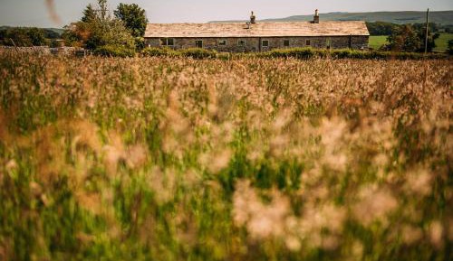 Three-Bedroom Cottage