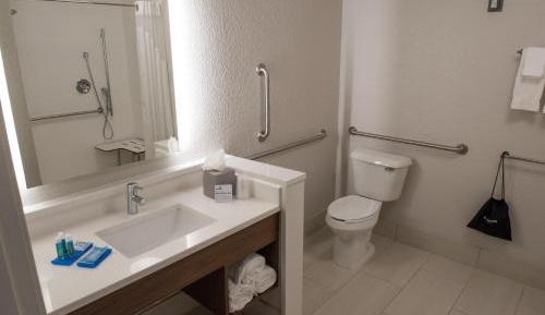 King Room - Disability Access Roll in Shower