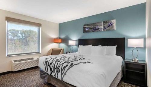 King Room - Non-Smoking