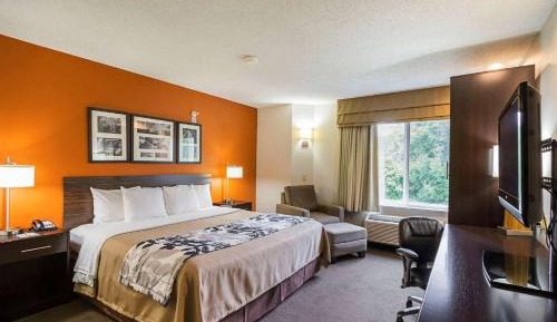 King Room - Non-Smoking