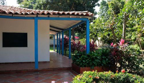 Bed in 6-Bed Dormitory Room