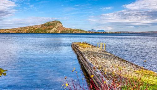 One Bedroom Apartment