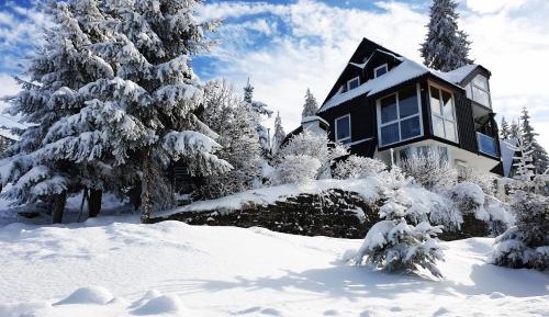 Apartment with Mountain View