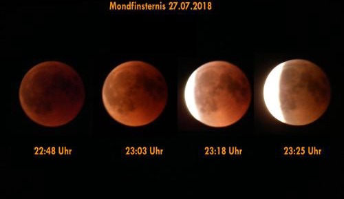 Apartment with Garden View