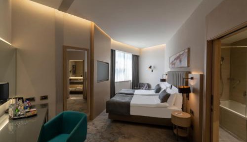 1 King Bed Standard Accessible Smoking