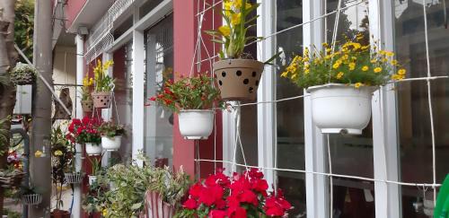 Family Room with Private Bathroom