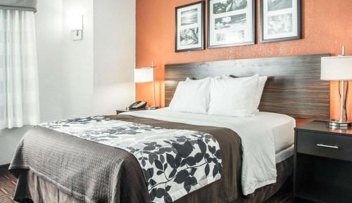 King Room - Non-Smoking