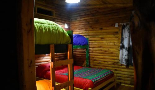 Single Bed in Mixed Dormitory Room